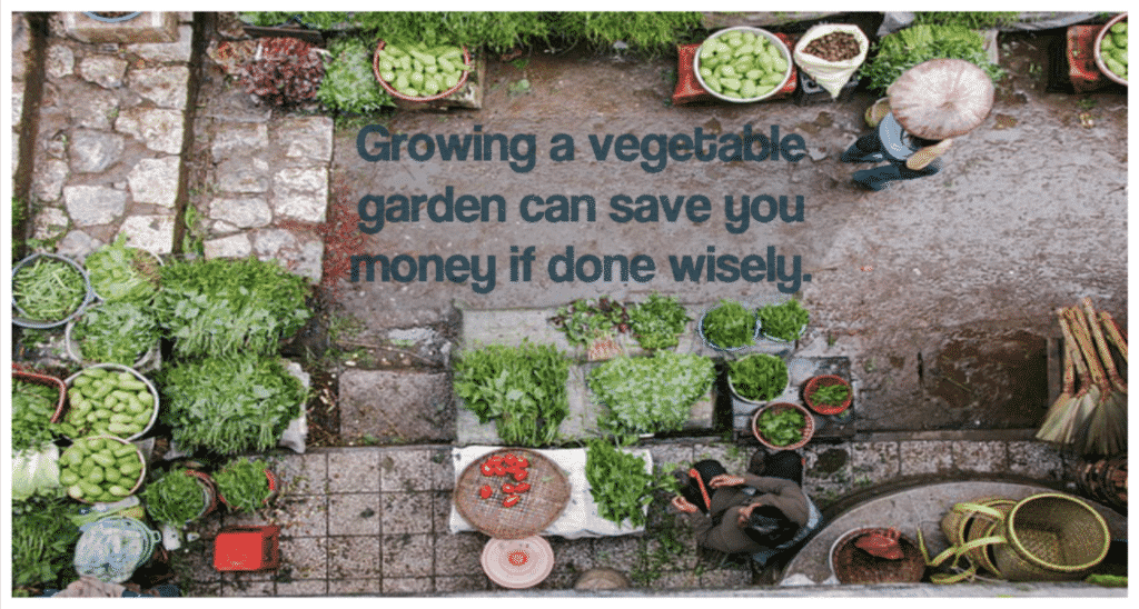 Growing a vegetable garden can save you money if done wisely.