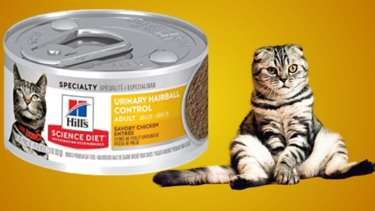 Best Canned Cat Food on a Budget 24 Pack wet Chicken food