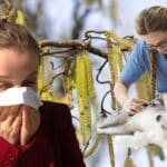 How do you know if it's allergies or a cold